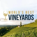 11 produtores portugueses no top 100 do “World’s Best Vineyards 2022″